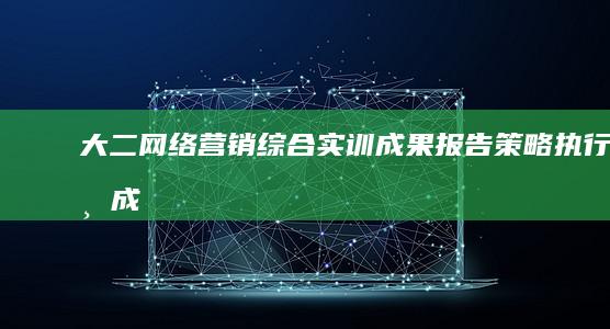 大二网络营销综合实训成果报告：策略、执行与成效分析